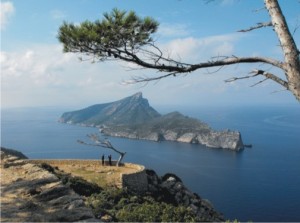 It's worth getting up high to appreciate the views. Here's the island of Sa Dragonera, viewed from La Trapa, Mallorca.
