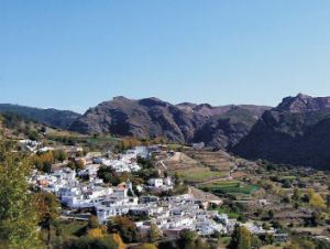 One of the White VIllages