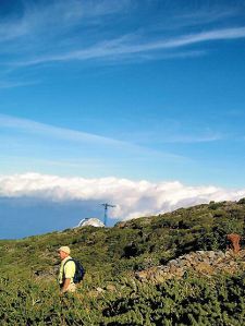 Walk La Palma Walk 28 Roque Palermo
