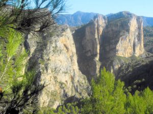 A tour of Raco Roig (Walk 20)