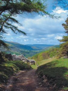 Wharfedale - following Walk 5