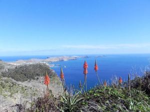 View from Pico Facho for Facebook