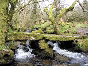 Dartmeet stepping stones