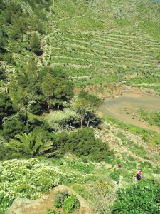Barranco del Malpaso, Lanzarote