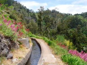 Levada Nova, Madeira (Walk 73)