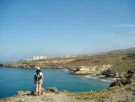 Tenerife South Life in the Raw looking towards Playa ParaisoSMALL
