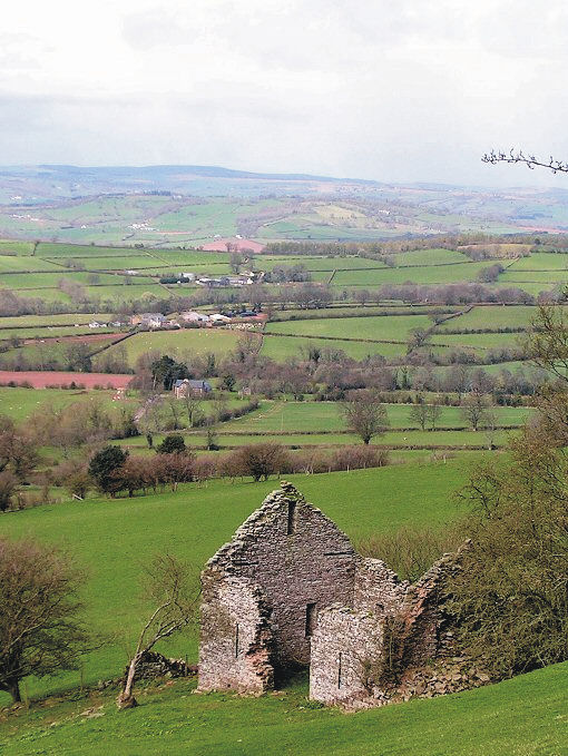 Brecon Beacons - on Walk 11